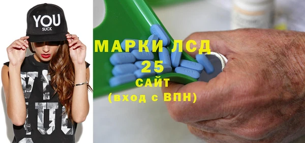 ПСИЛОЦИБИНОВЫЕ ГРИБЫ Баксан