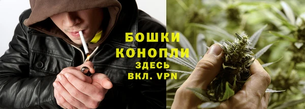 ПСИЛОЦИБИНОВЫЕ ГРИБЫ Баксан