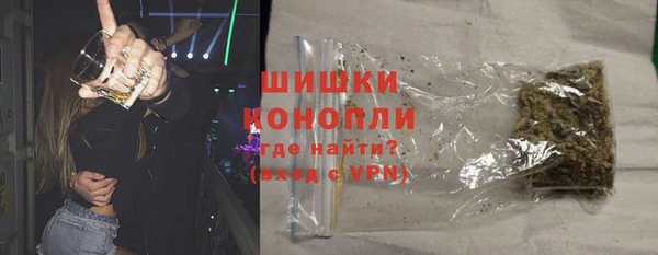 ПСИЛОЦИБИНОВЫЕ ГРИБЫ Баксан