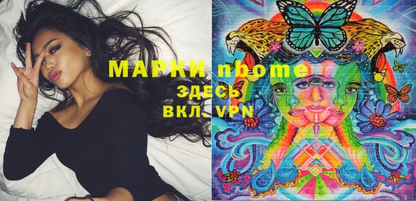 ПСИЛОЦИБИНОВЫЕ ГРИБЫ Баксан