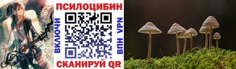 ОМГ ОМГ   Кунгур  Галлюциногенные грибы прущие грибы  купить наркоту 